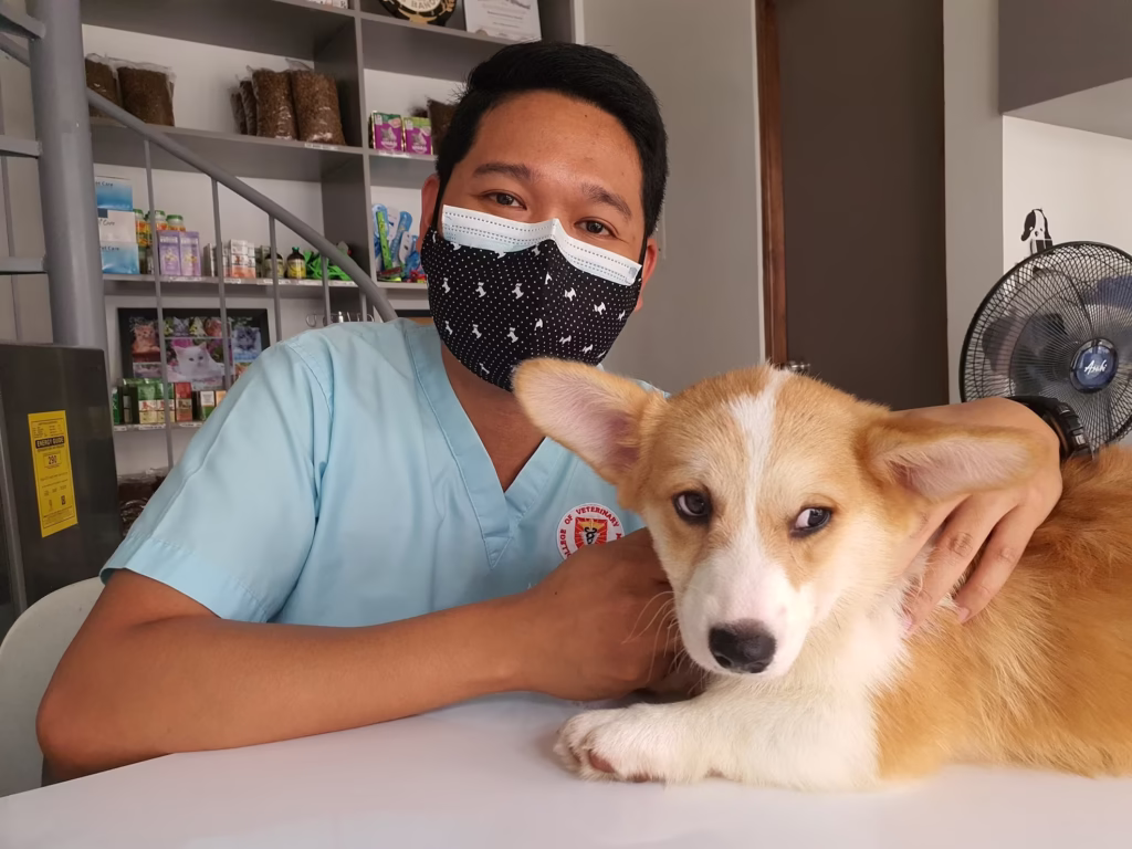 dog vet