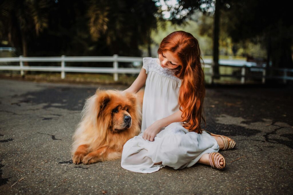 teach-a-dog-to-sit-3 how to teach a dog to sit