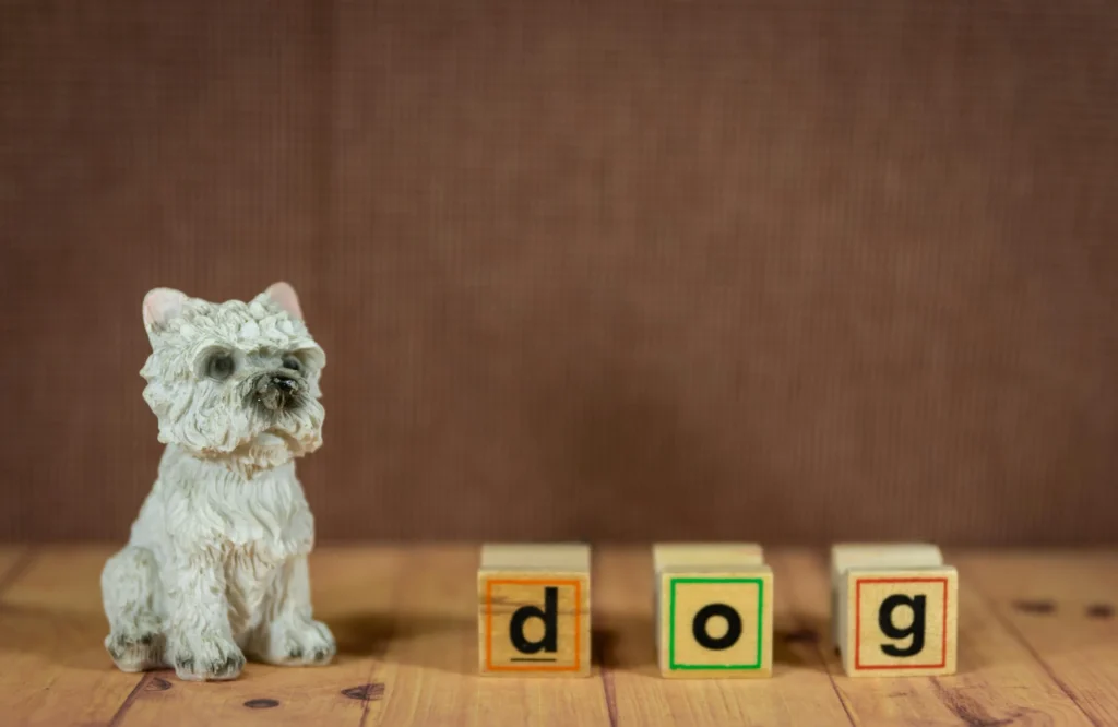teach-a-dog-to-sit-4 how to teach a dog to sit
